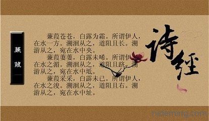 31ee0004aca9e98d754f.jpg